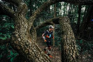 BIB: 
                            <button type="button" onclick="openModal(25389707)" class="btn btn-primary btn-sm float-right btn-popup" data-toggle="modal" data-target=".modal-high-quality">
                        <i class="fas fa-shopping-cart"></i> Add to Cart
                    </button>
                                            <button type="button" onclick="isThisMe(25389707, true)" class="btn btn-success btn-sm float-right btn-popup btn-isme hidden" data-toggle="tooltip" data-placement="bottom" title="นี่คือรูปของคุณใช่ไหม คลิกที่นี่เพื่อเอาเข้าอัลบั้ม">
                        <i class="fas fa-plus"></i> Add to album
                    </button>
                    <button type="button" onclick="isThisMe(25389707, false)" class="btn btn-warning btn-sm float-right btn-popup btn-isnotme hidden">
                        <i class="fas fa-ban"></i> Remove from album
                    </button>